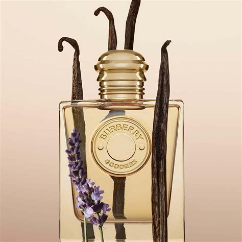 profumo burberry nuova fragranza|Goddess Burberry .